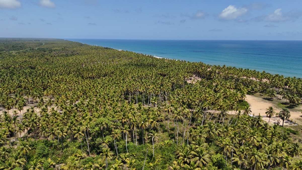Vue aérienne Noumouzou