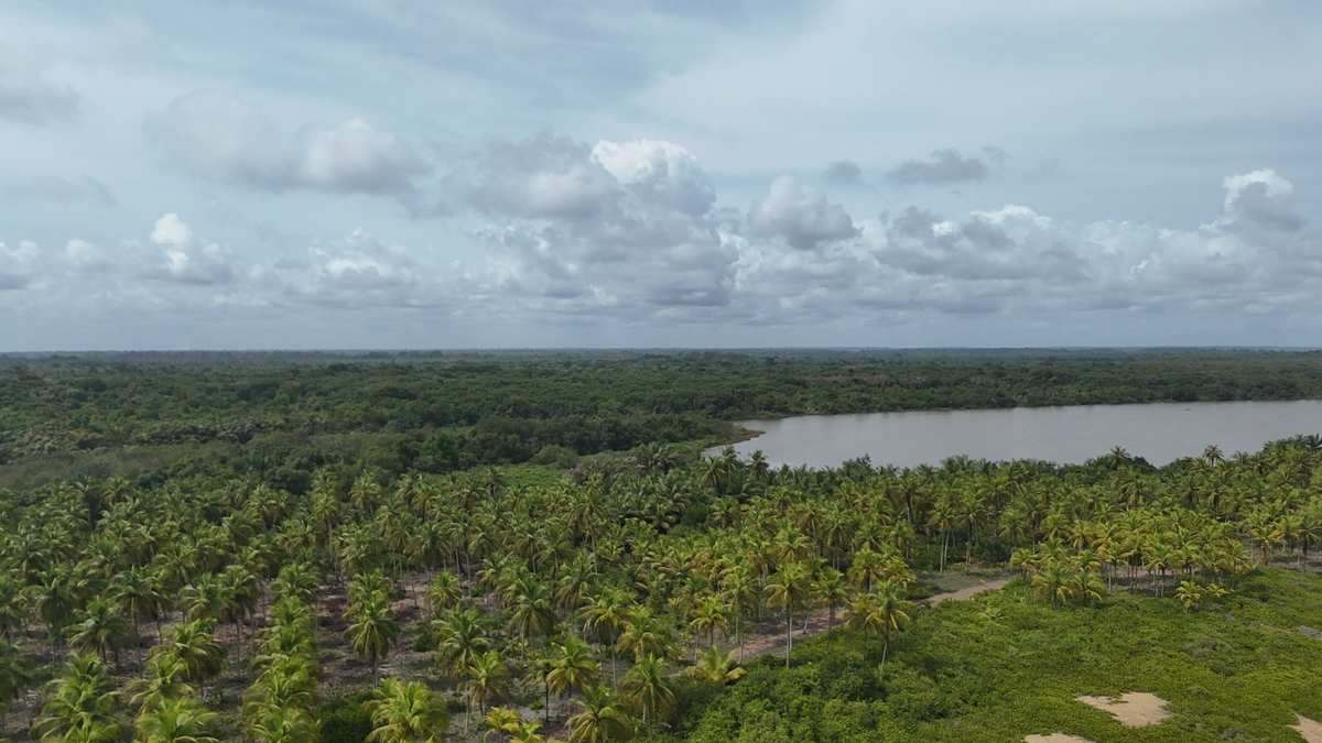 Vue aérienne Noumouzou